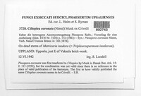 Image Associated With the Occurence